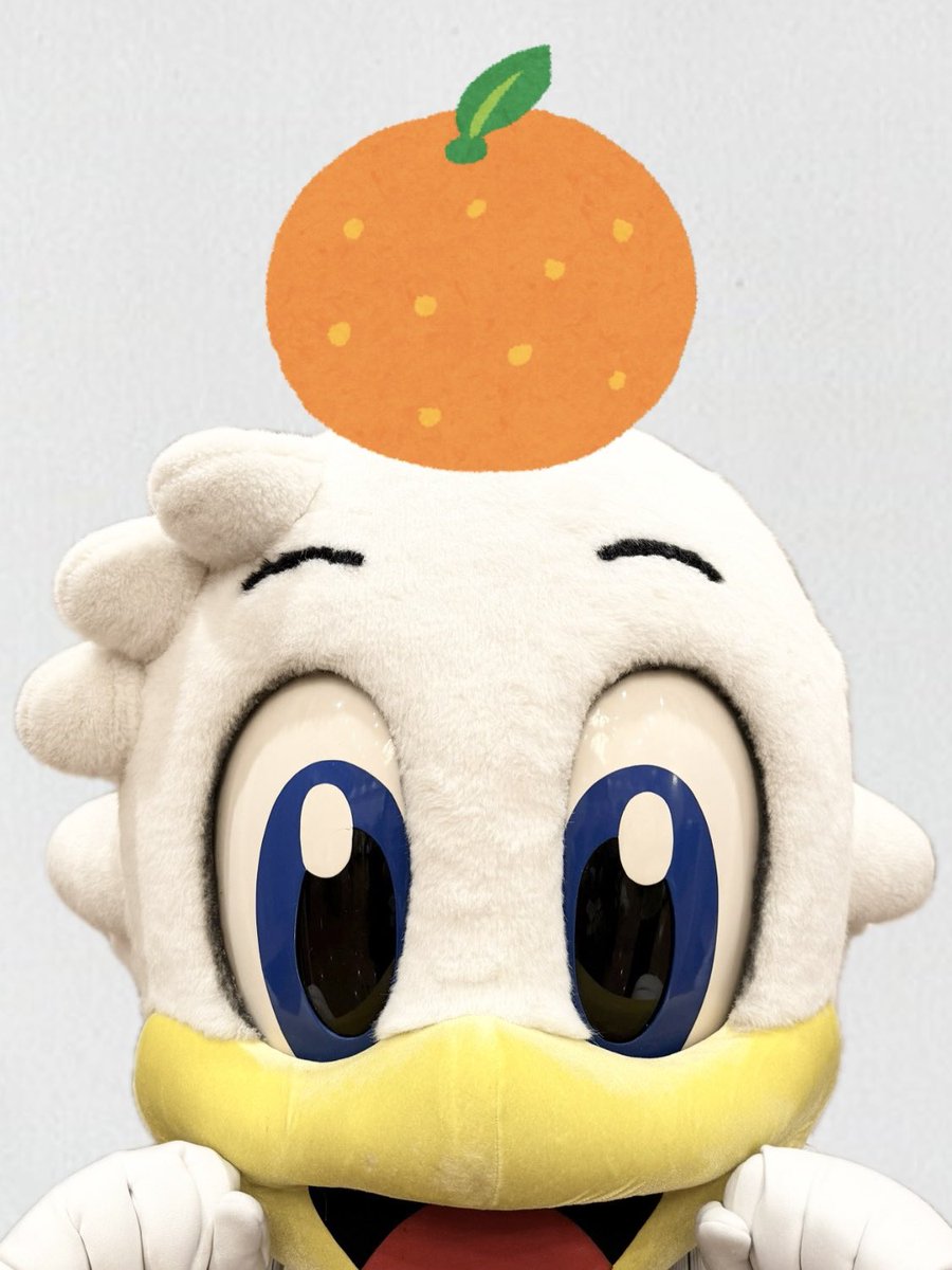 マーくん(千葉ロッテマリーンズ) (@chibalotte_mar) / Posts / X