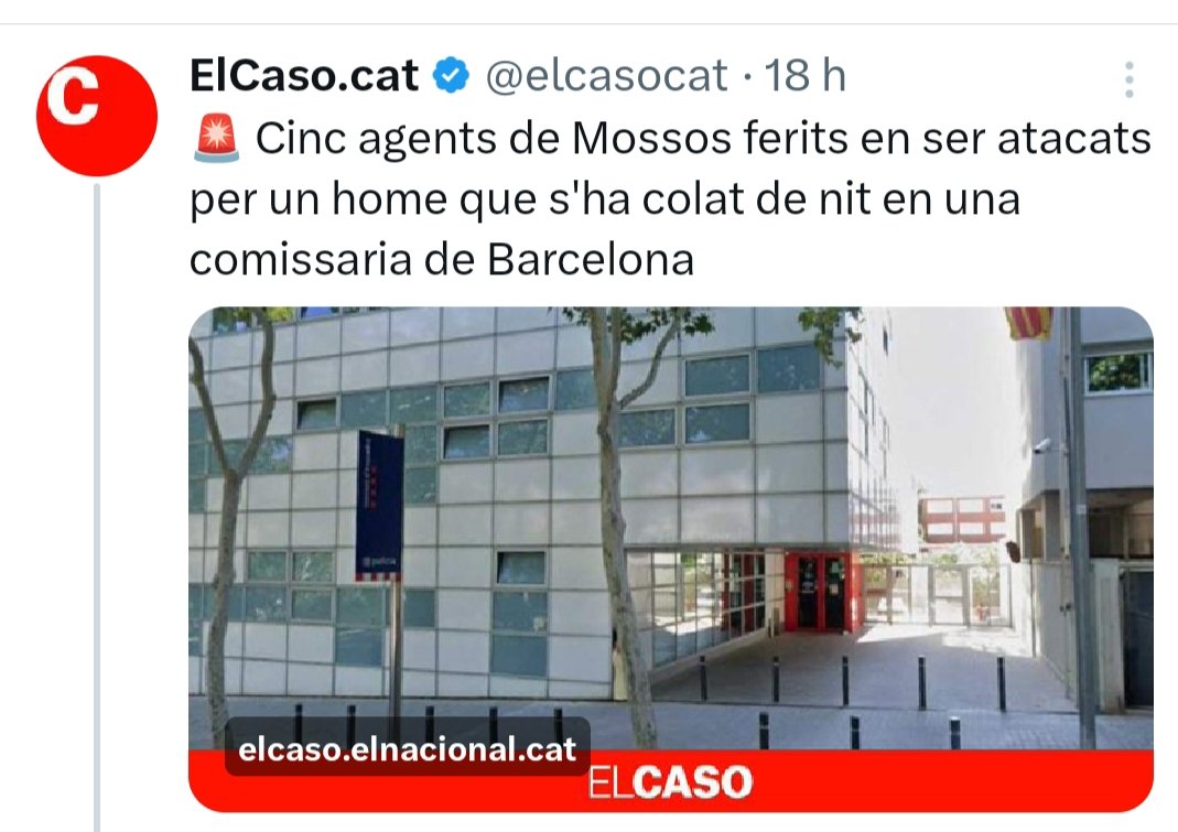 Bandera negra tweet media