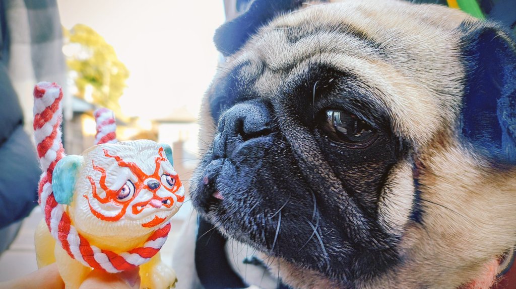 新年明けましておめでとうございます🐴 今年もうちの可愛い可愛い パグ