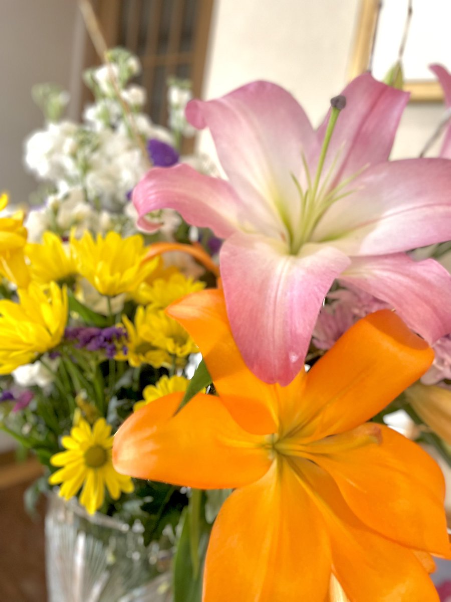 あけましておめでとうございます！！

今年も宜しくお願いいたします。
たくさんの笑顔が溢れる年に🐰🤍
そして、人として今よりももっと強くなりたい。

実家にある綺麗な百合を添えて。💐