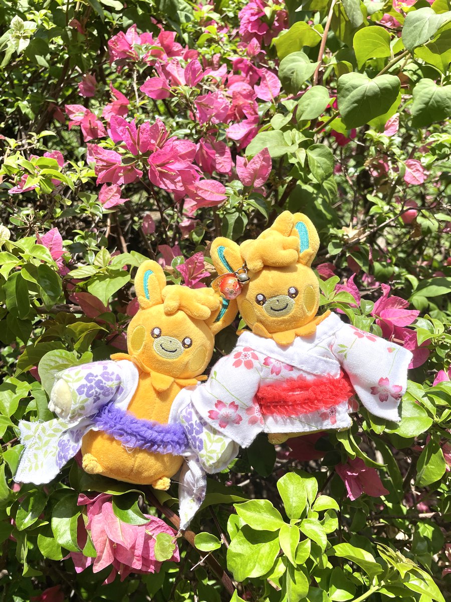 anisha (pawmot’s #1 fan) | 🍉✨ tweet media