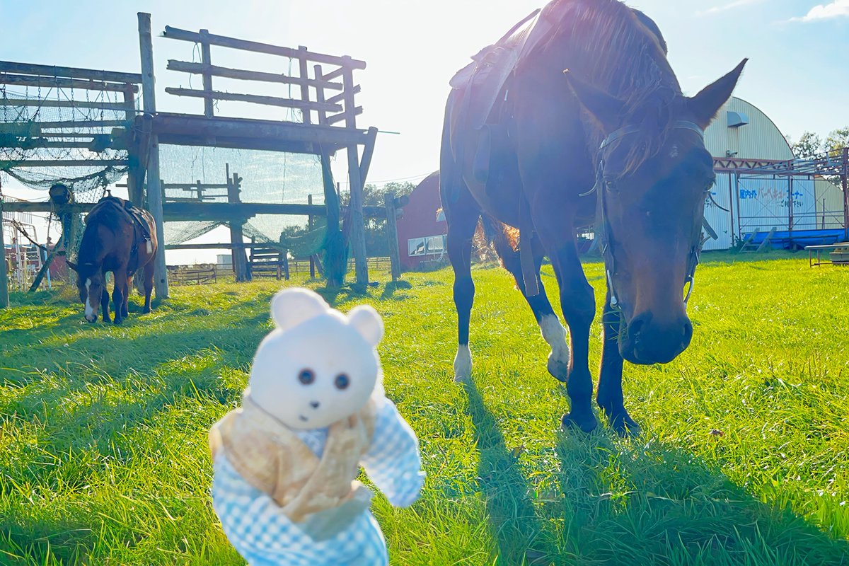 くまきち (@kmakici) / Posts / X