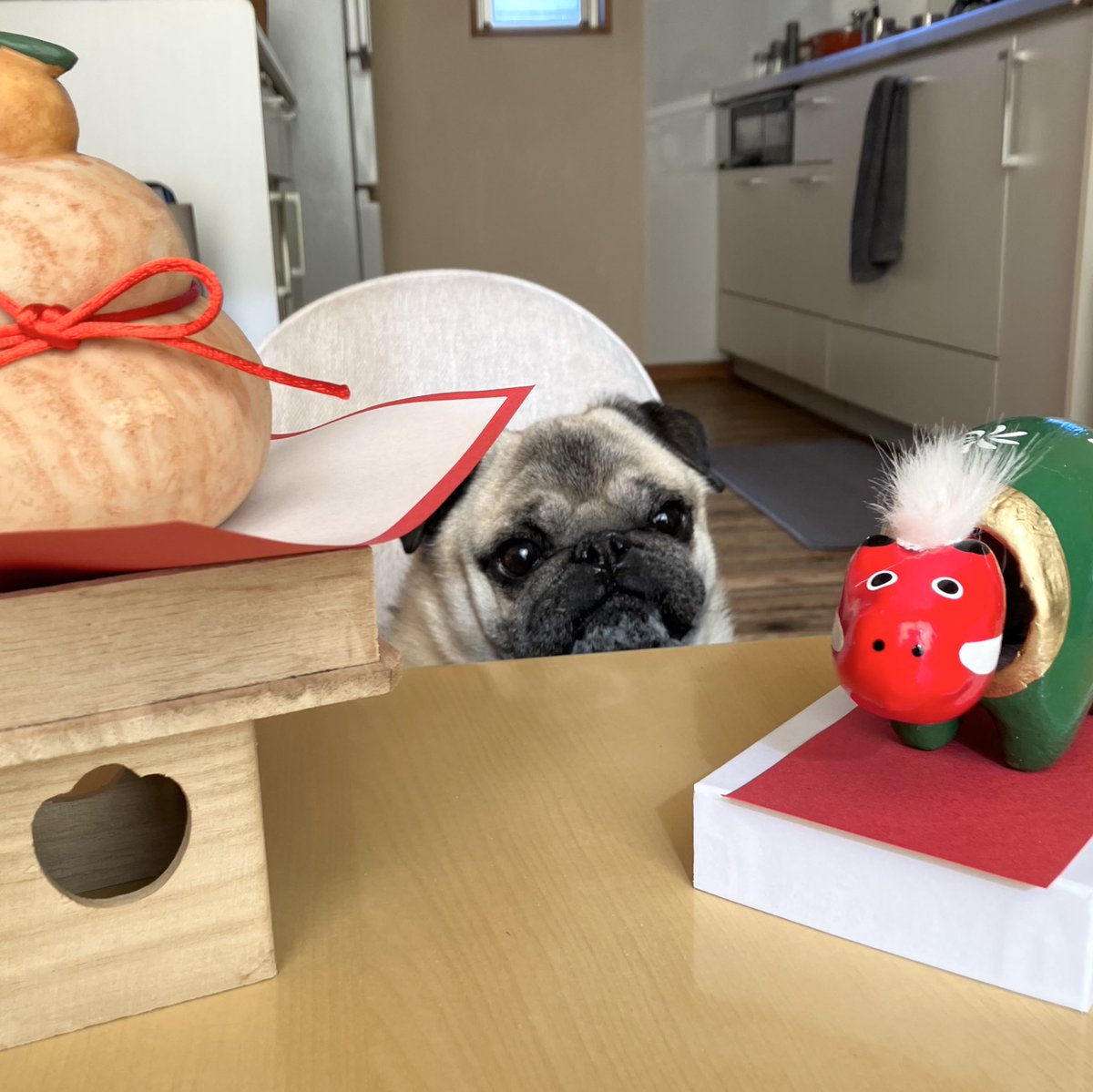 新年あけましておめでとうございましゅ✨ 本年もどうぞよろしくお願い