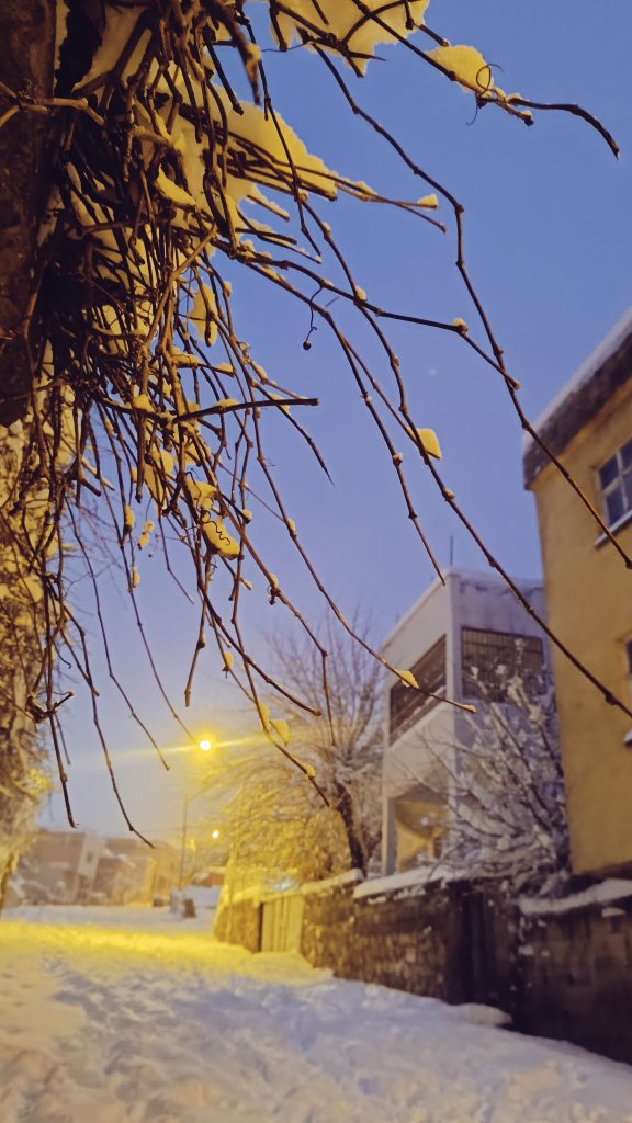 Kış beyazı davet eder.
beyaz sessizliği ve huzuru...