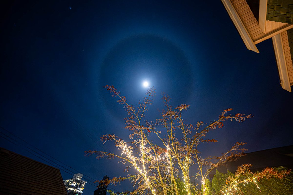 Mark Teasdale ★ tweet media