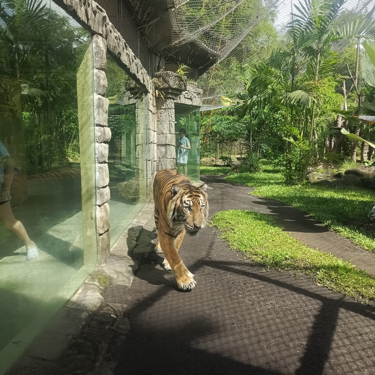 casuallycry's tweet image. saltum bnget ke balizoo kek melayat😭