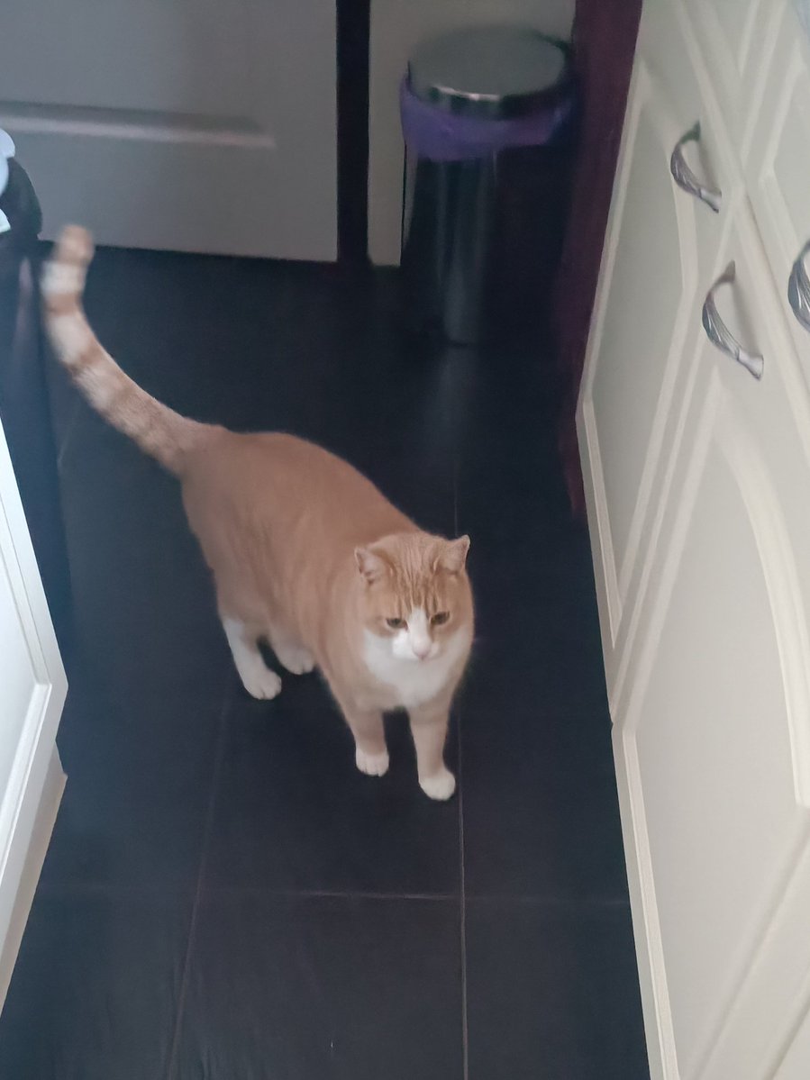 Hij is weer tevoorschijn gekomen en wenst jullie net als ik een heel mooi 2026!