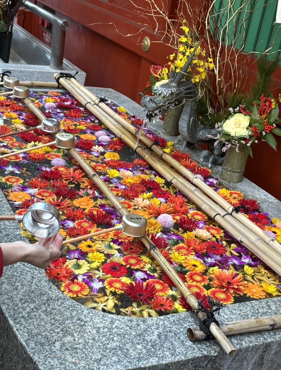 稲垣亜衣 (@inagaki_ai) / Posts and Replies / X