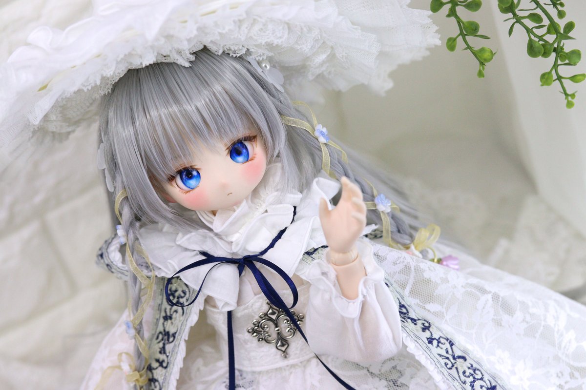 DOLLCExDOLLCE's tweet photo. ❄黒猫人形堂　黒井（西織銀）様 ワンオフ DOLLCE DOLL　販売方法のお知らせです❄
↓↓↓商品画像も掲載しておりますのでぜひご覧ください。
https://t.co/OwUajZBPou https://t.co/4dV2NlkTgK