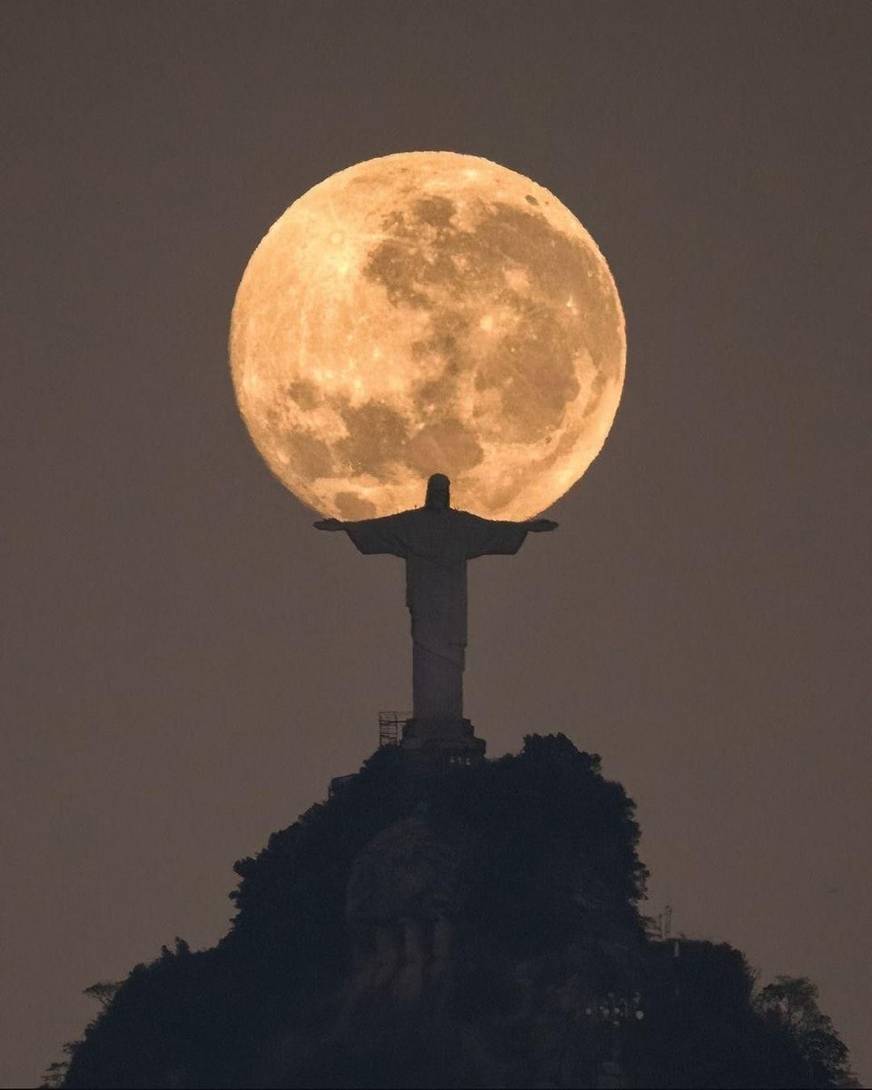 MOON (@dailymoonx) on Twitter photo 