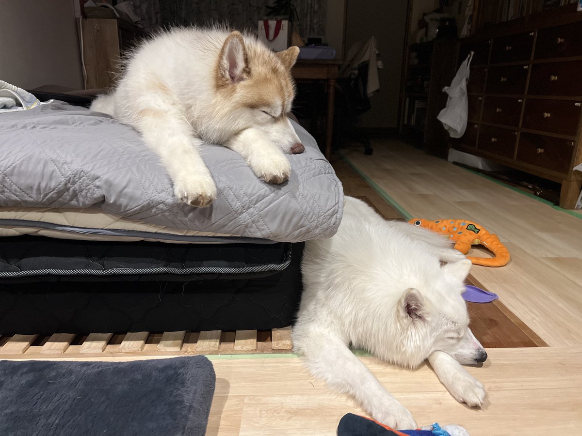 hhkk様　４点おまとめ カワサキ ZX-14R High Grade 【Keeper施工済み】ETC・USB