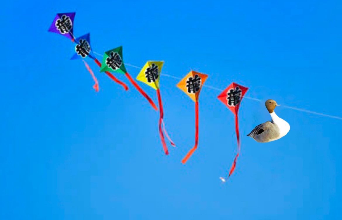 Post by ちょこざい on X: いつもの