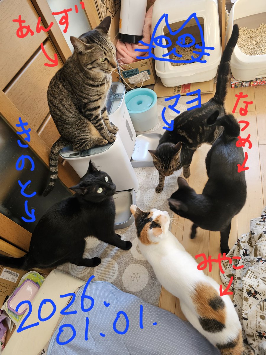 ミカボシ(おおかみ座) tweet media