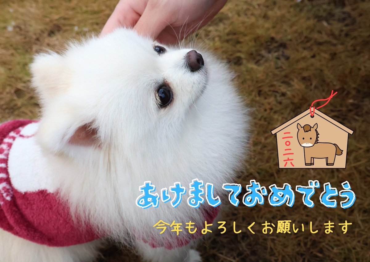 あけましておめでとうございます！
ましゅは👩実家でたくさん美味しいものを食べました🤭
今年も元気に楽しく過ごせますように☺️