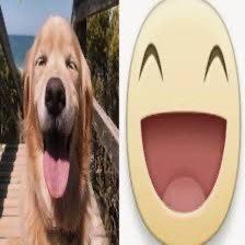 happy new year!! hope this year is great for all of you !!!!!!! be happy and healthy