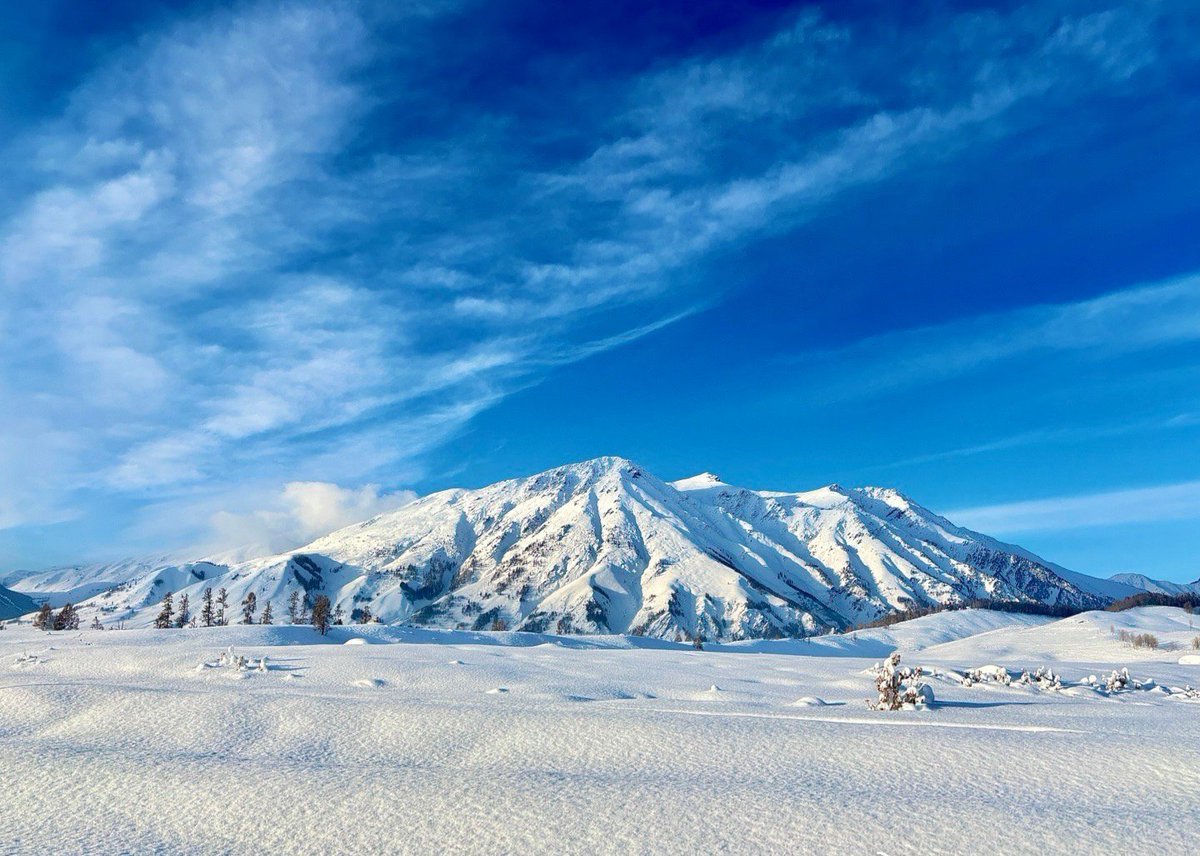 TES-JackeyLove tweet media