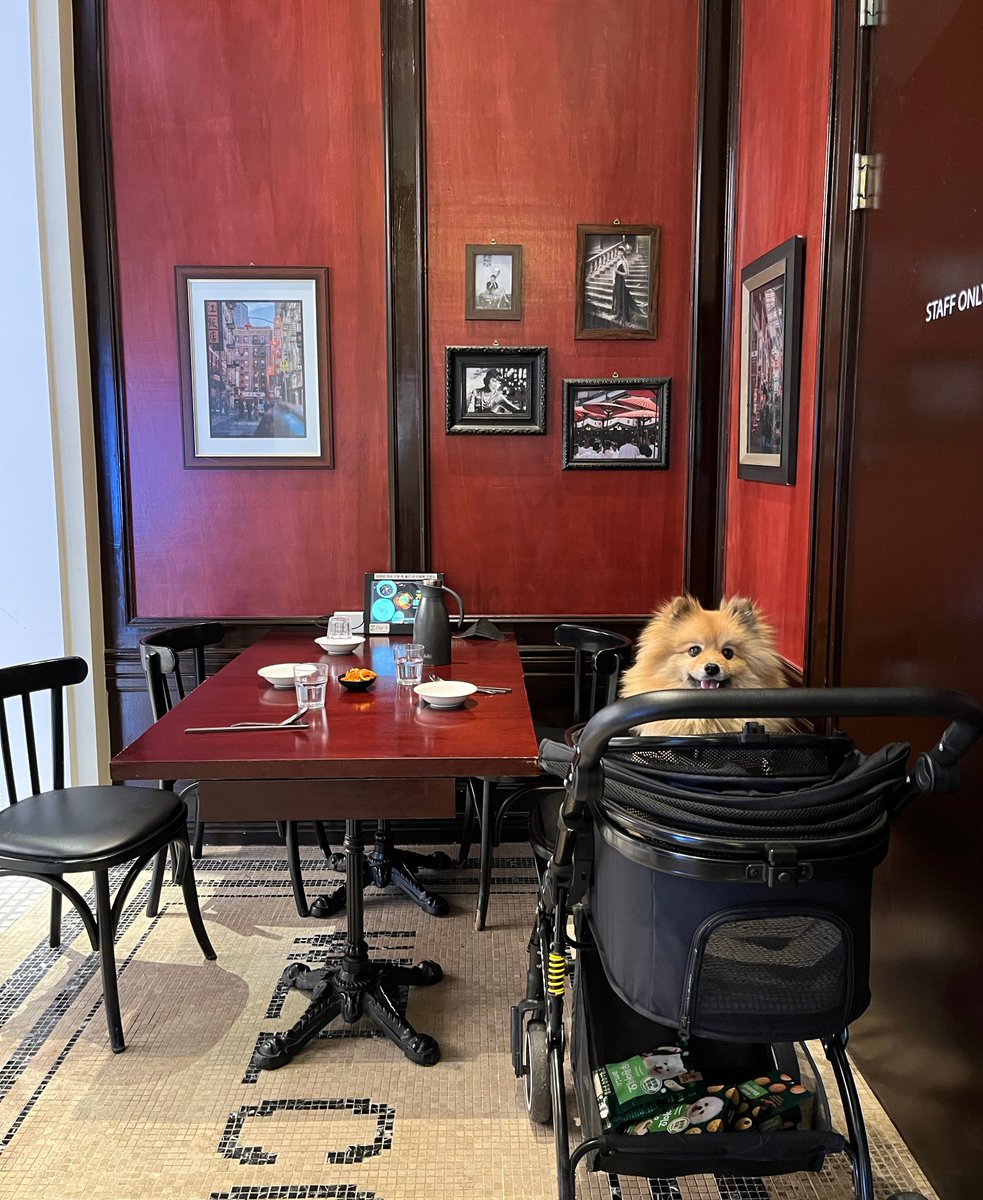 밈코인삽니다[구글도배,구글찌라시 텔 𝑮𝑺𝑬𝑶8]테더손손거래.dgb