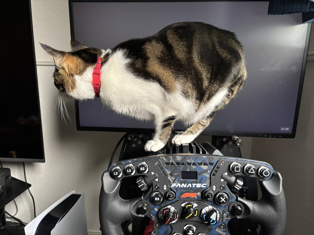 ZsanStars's tweet image. ゲームの邪魔されるマン