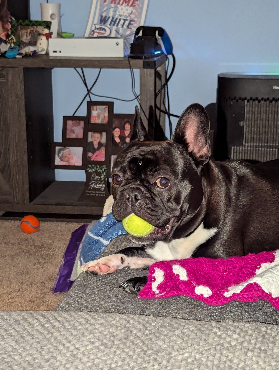 Adam White tweet media