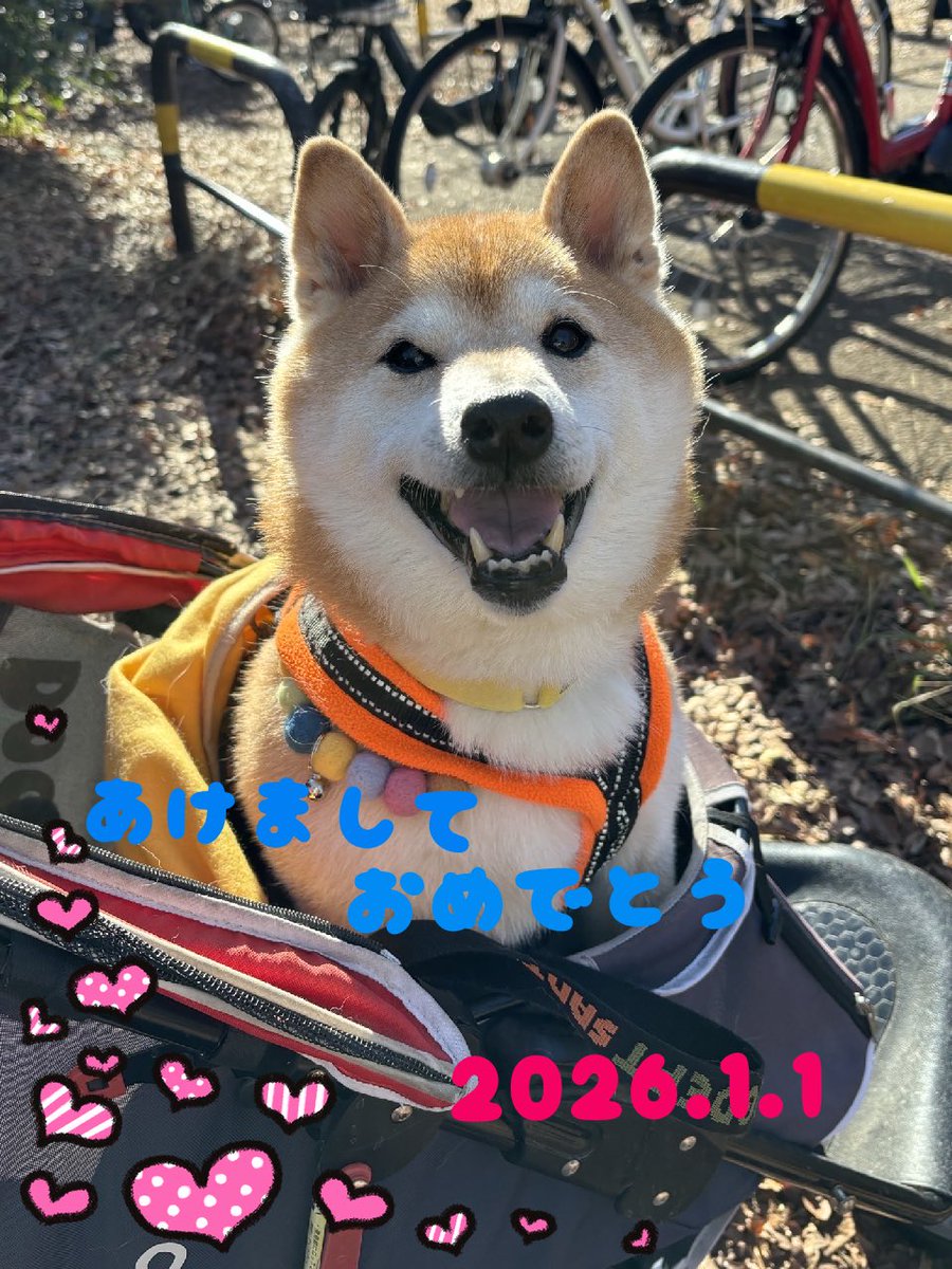 今年はみんなのことお空🌈から応援するね📣🍀

みんな　たくさん食べていっぱい遊んでもらえますように☺️💕