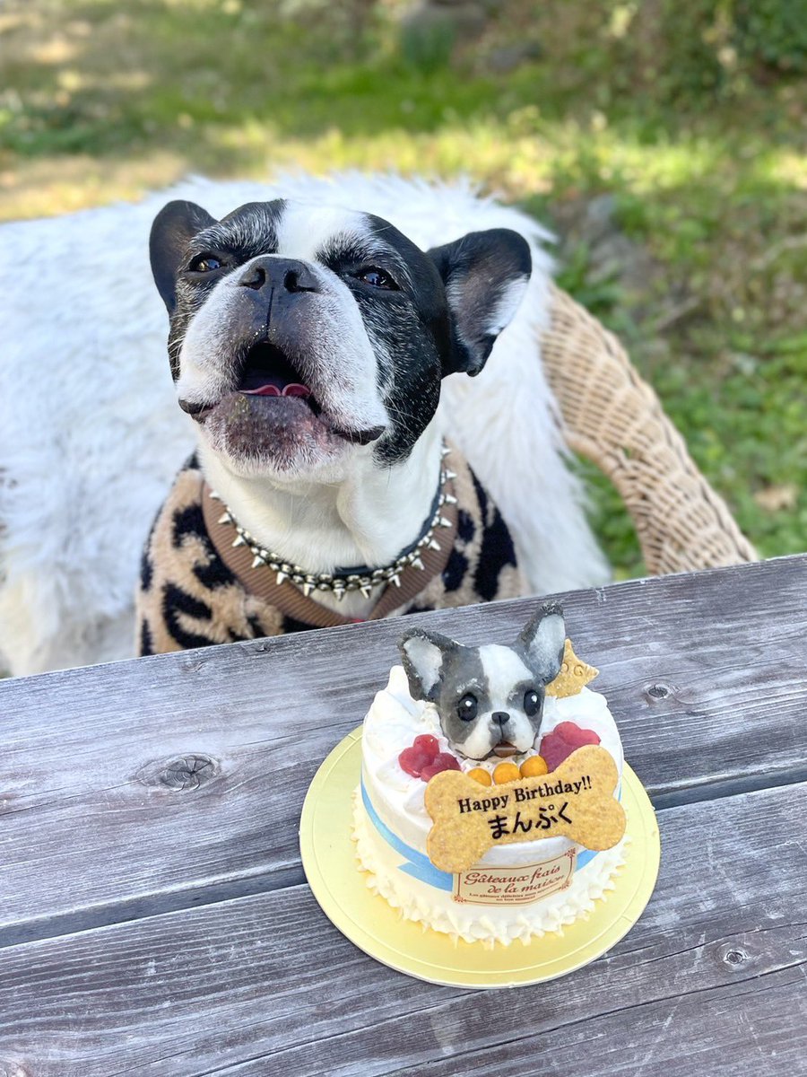 🎂🎉🎁HAPPY BIRTHDAY🎁🎉🎂