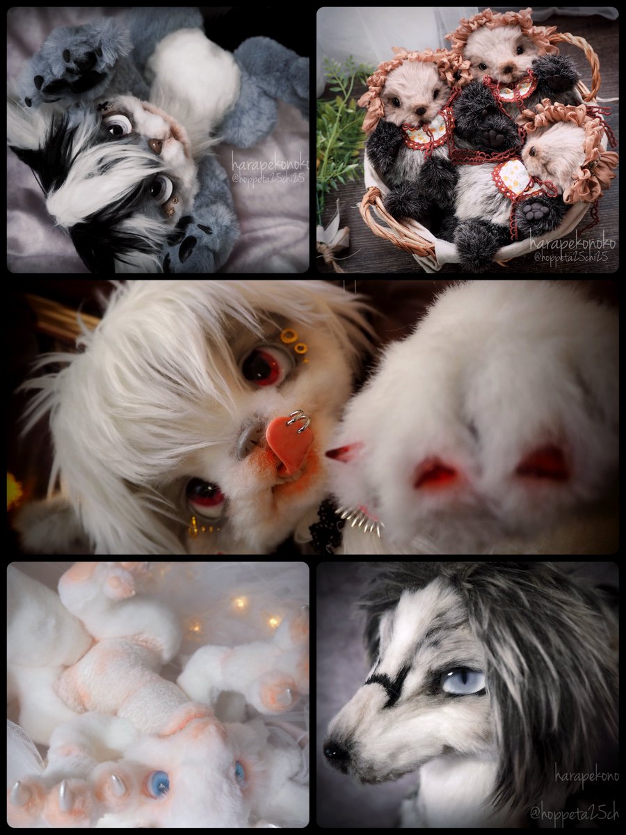 ハラペコ (@hoppeta25chi25) / Posts / X