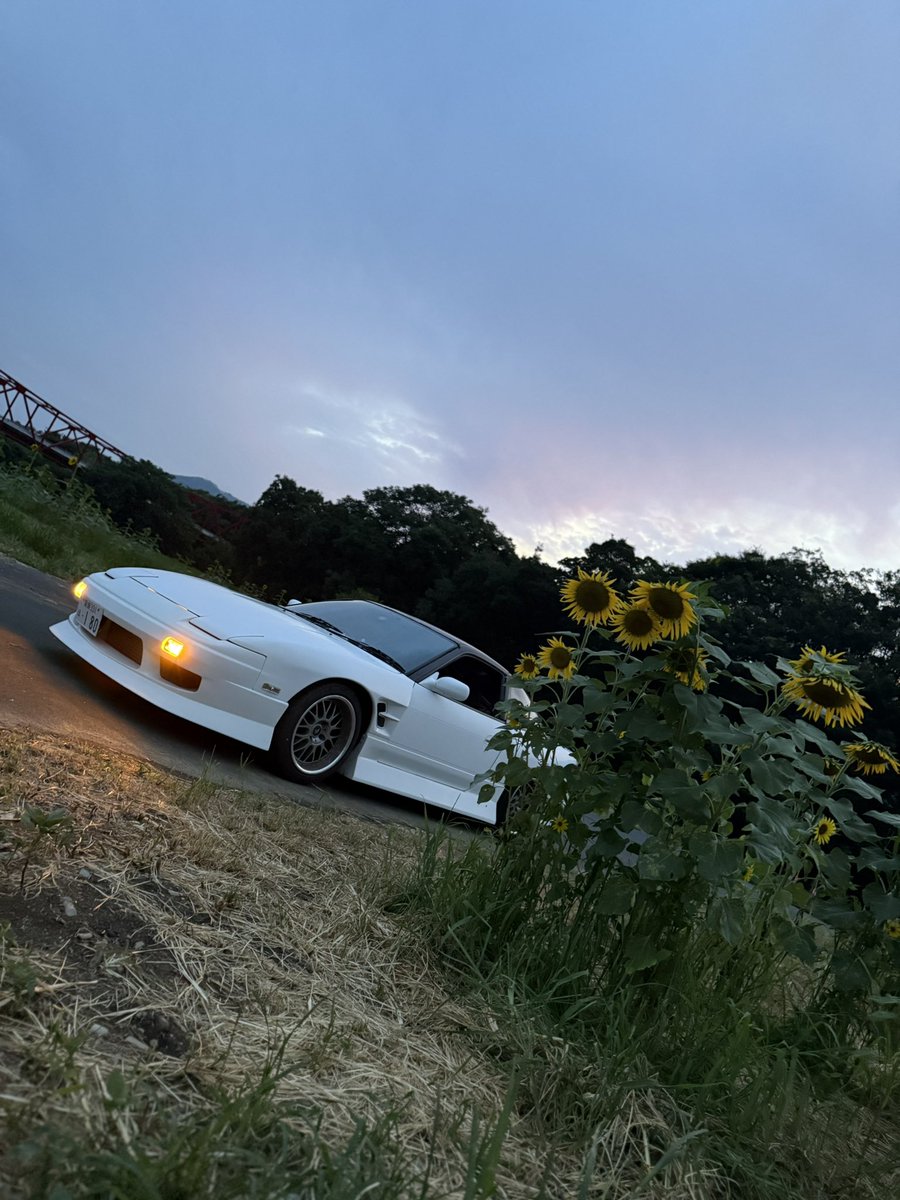 もやし(◝ ᴗ ◜)₰₁₂𝓡🐶🏍🚗 (@moyashi_ZX12R) / Posts / X