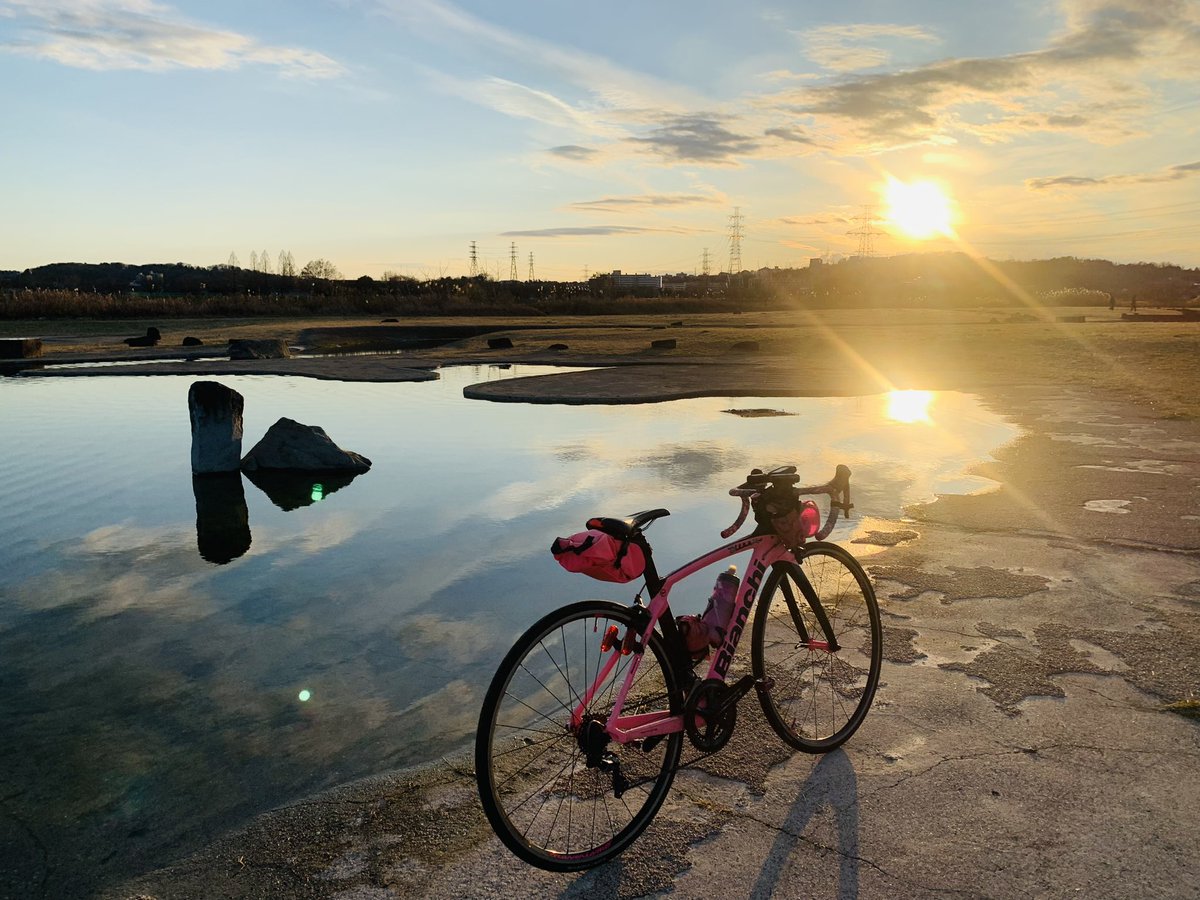 サメハル🚲自転車用 (@kinusamep) / Posts / X