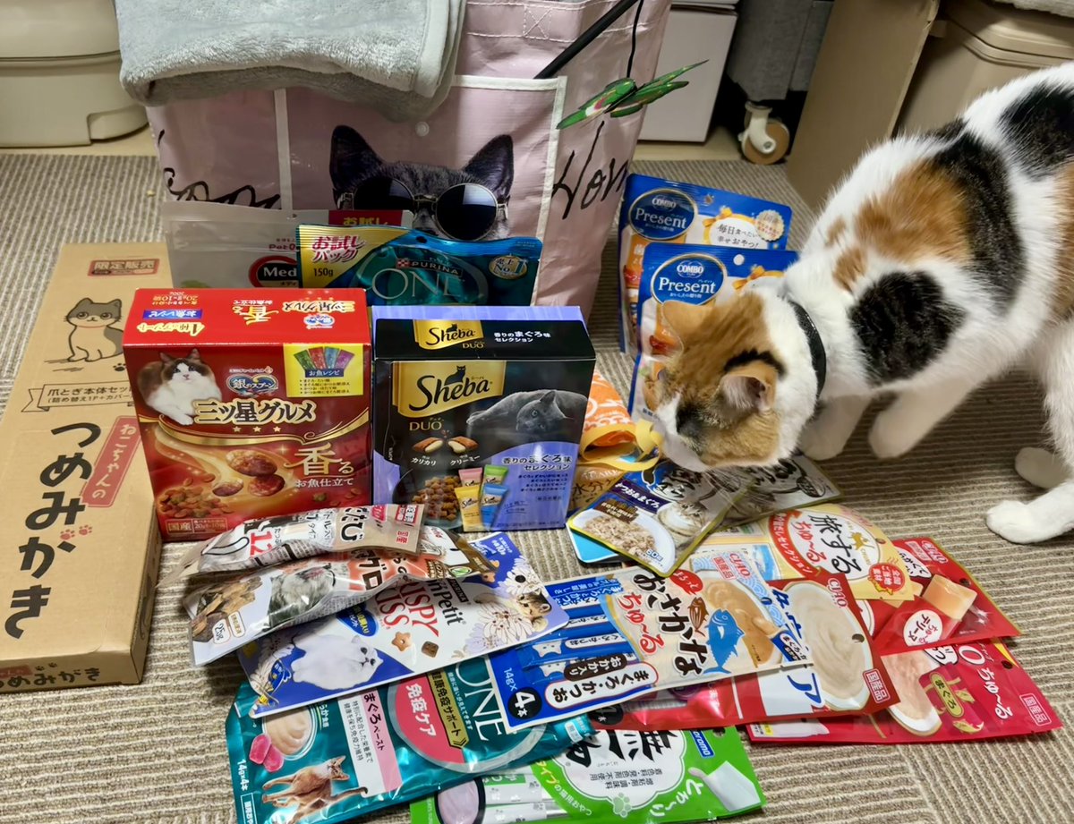 レキシーバッグ 週末限定お値下げ❗早い者勝ちです❗ ブースターパック 運命廻放編 祝福の蒼空 ｜ Z/X - Zillions of enemy