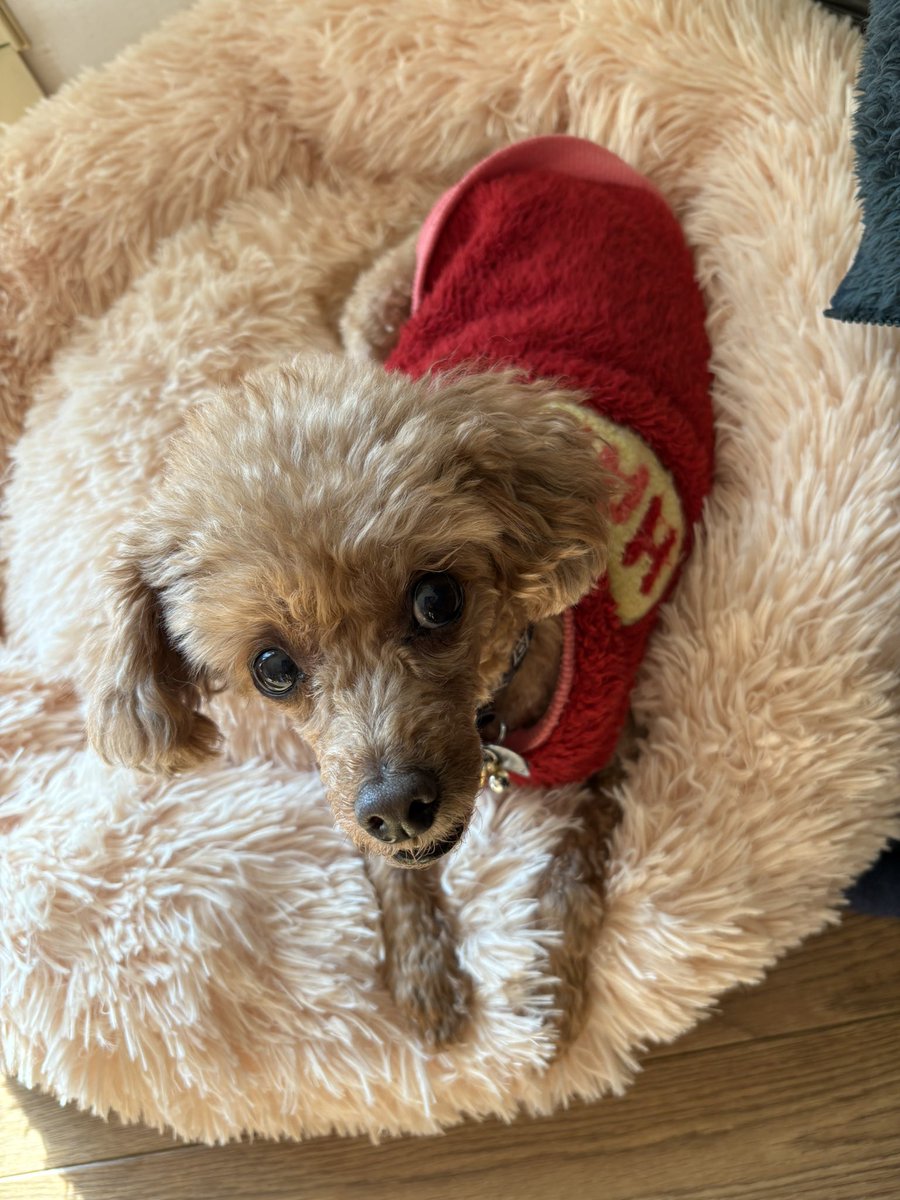 明けましておめでとうございます！

今年もよろしくお願いします(*^^*)

今年も踏ん張るぞ！