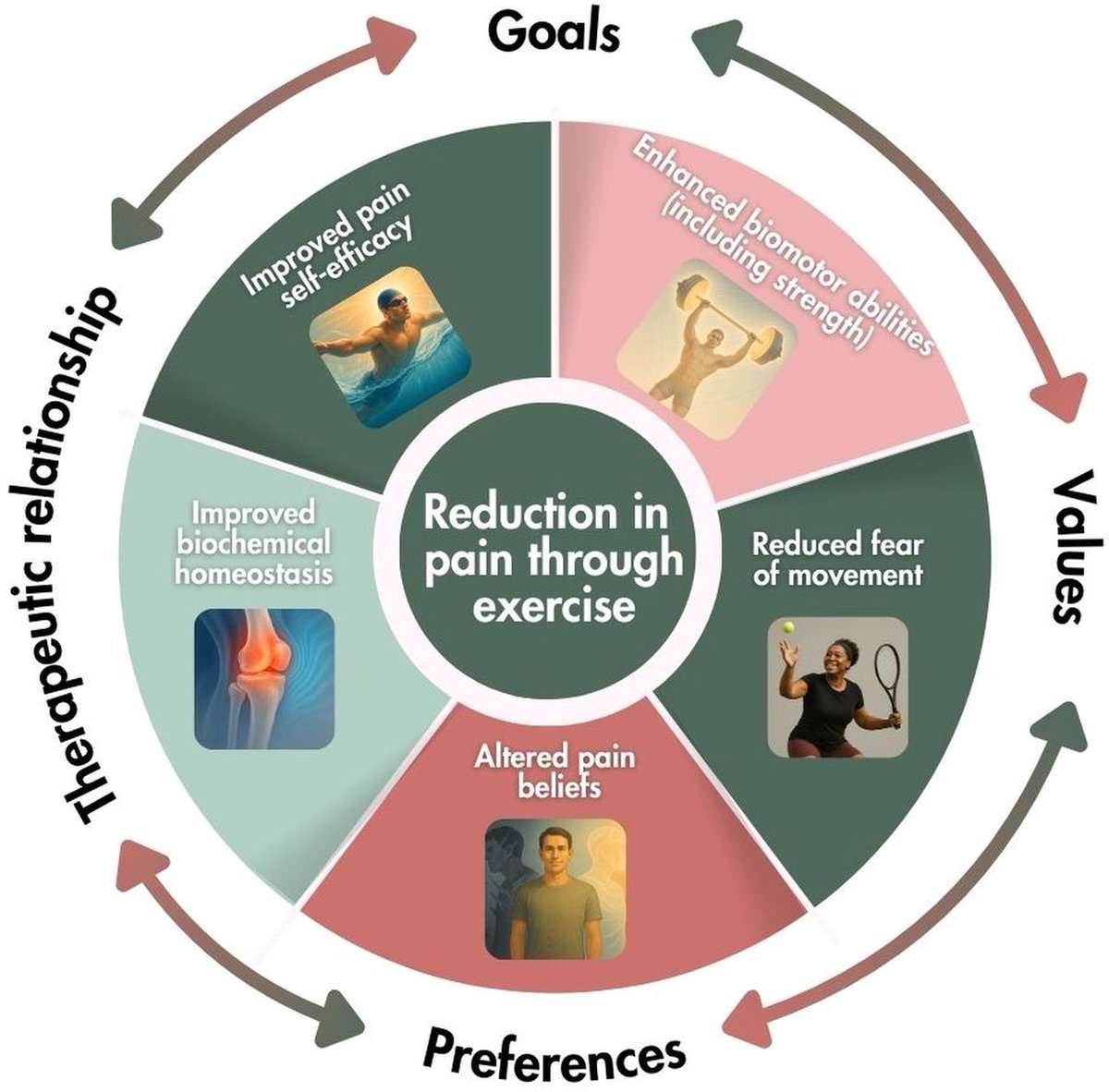 a_garciahermoso's tweet photo. No todo va de “ponerse más fuerte” 💪
Un editorial en @BJSM_BMJ explica que el #ejercicio reduce el dolor musculoesquelético también por cambios en la mente, las creencias y la confianza al moverse, no solo por ganar fuerza🧠✨

https://t.co/cbETHJ4Ylf https://t.co/ISGS3hhtLv