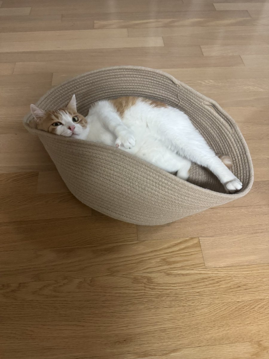 새해 복 많이 받자 오봉식