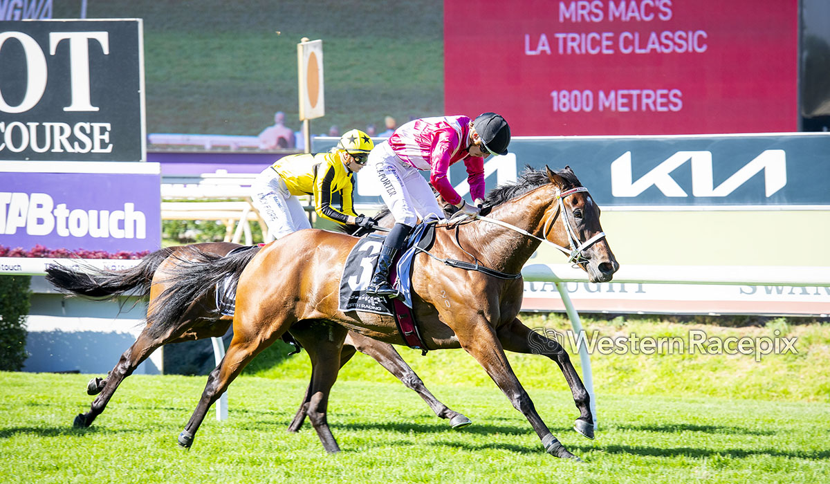 Western Racepix tweet media