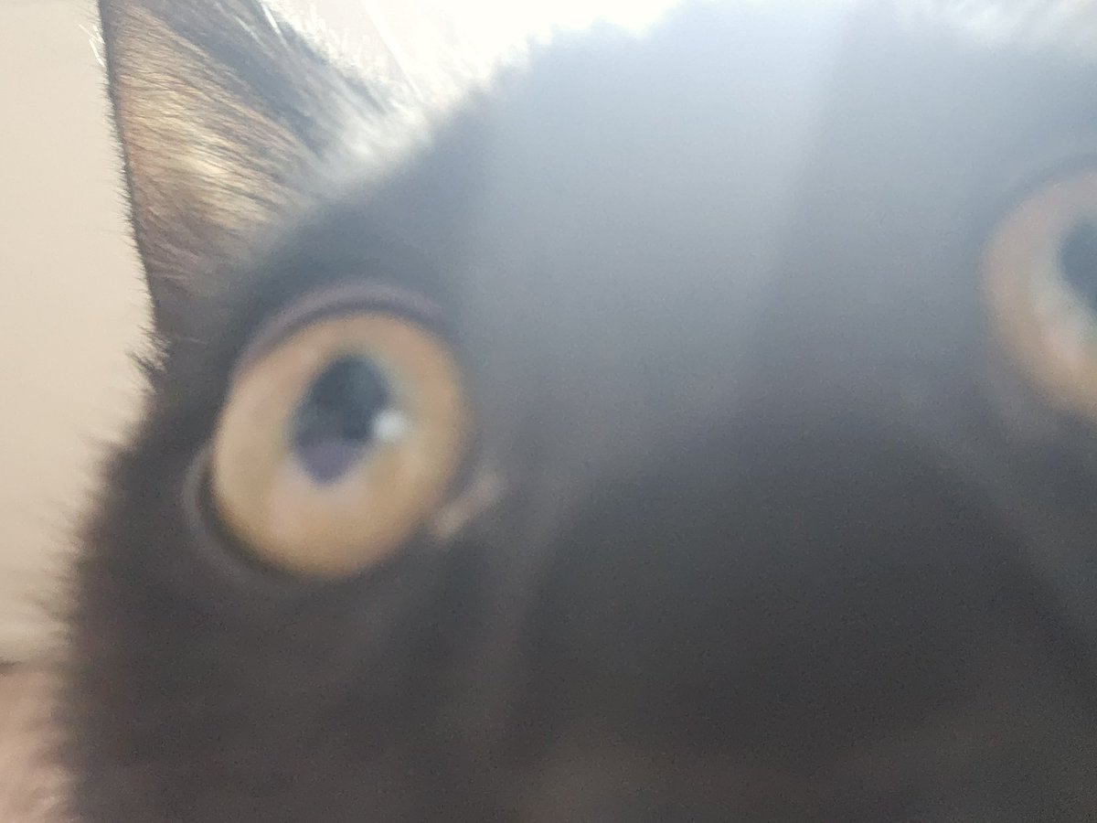 새해복많이받으세요—-!!!! 
독자님들 넘나 사랑해——❤️❤️❤️❤️❤️