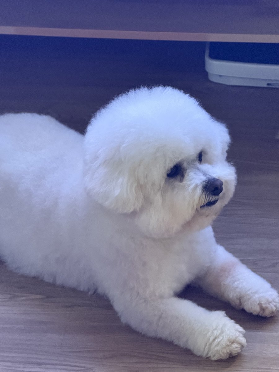 빠마는발도동그랗네..🥹❤