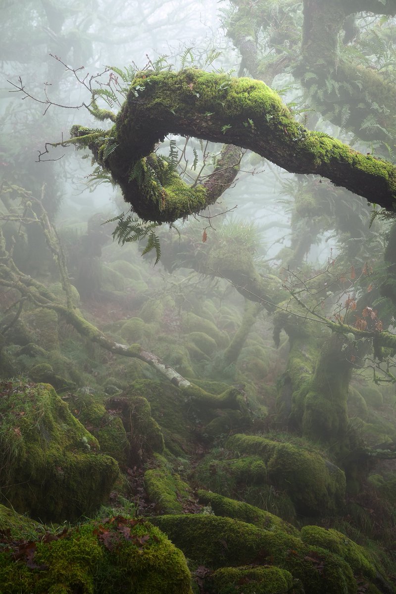 Neil Burnell tweet media