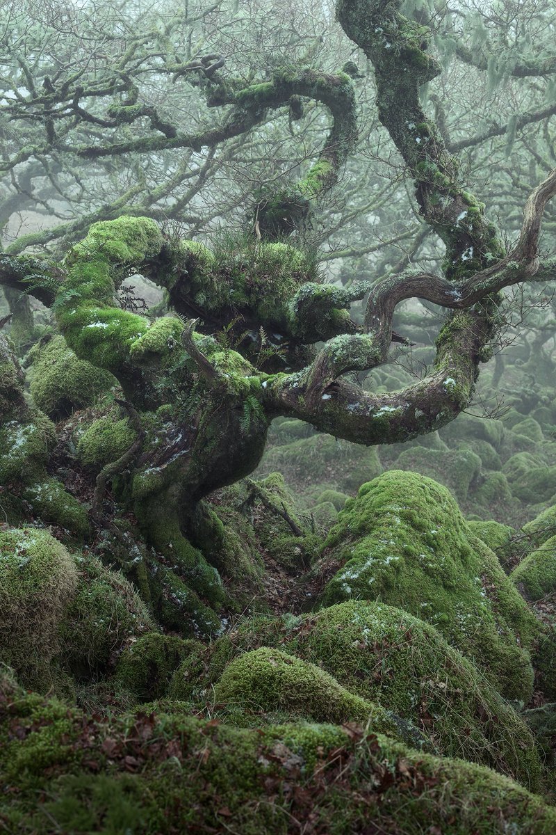 Neil Burnell tweet media