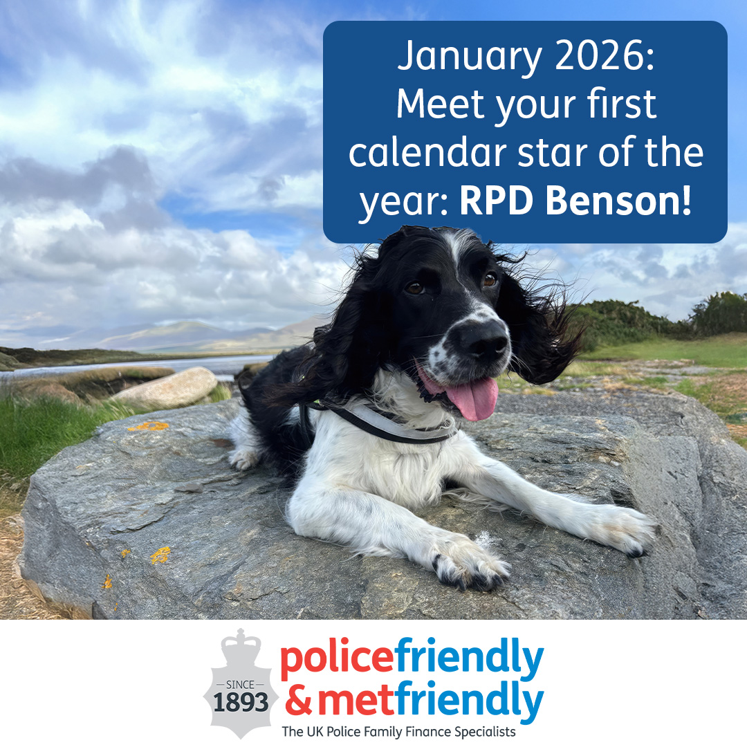 Metfriendly tweet media