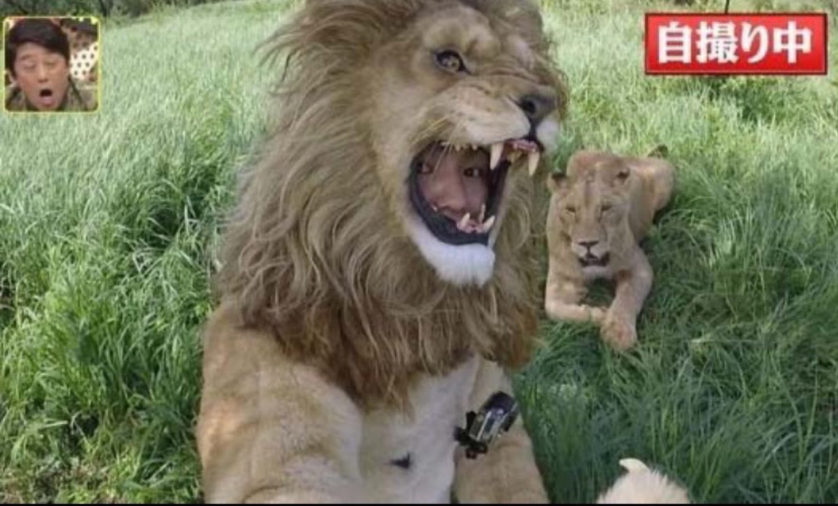 まとめたお。 tweet media