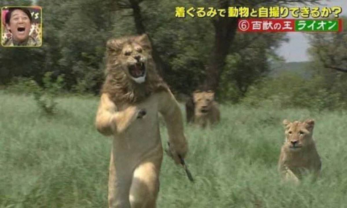 まとめたお。 tweet media