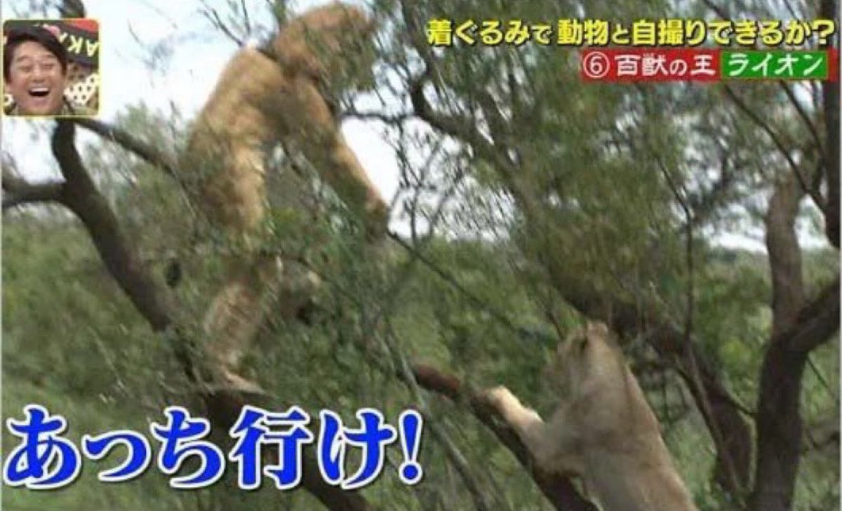 まとめたお。 tweet media