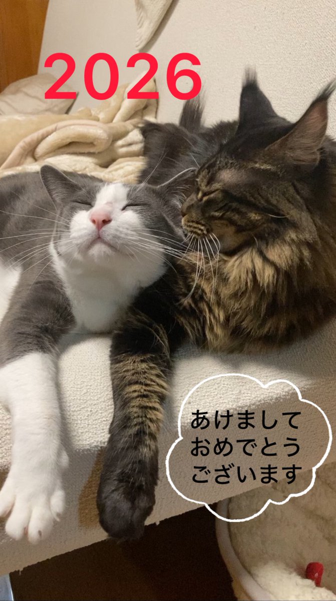 ベアちゃん (@beachan0510) / Posts / X