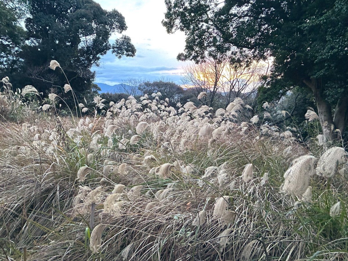 phoen428's tweet image. 