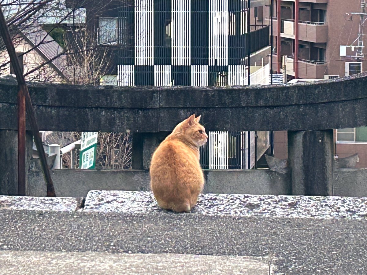 phoen428's tweet image. 