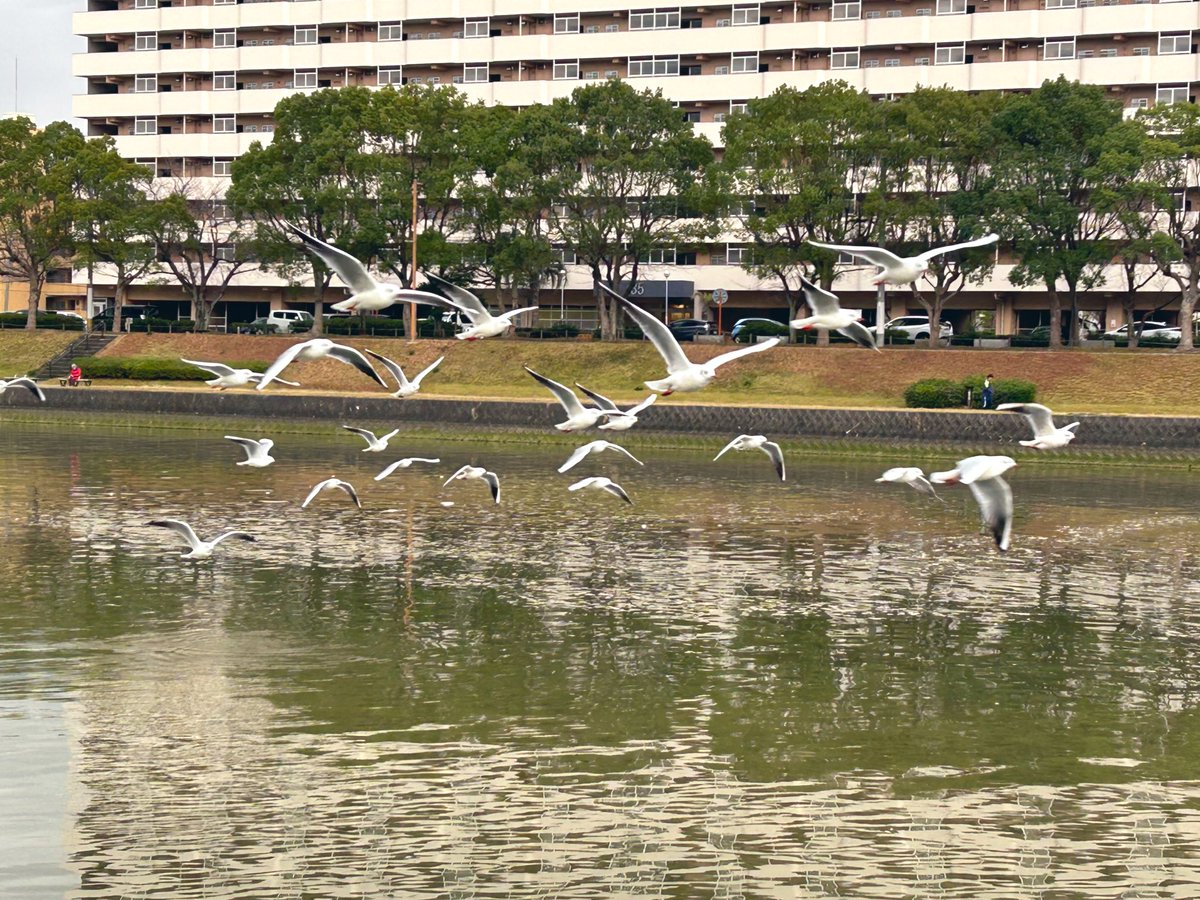 phoen428's tweet image. 