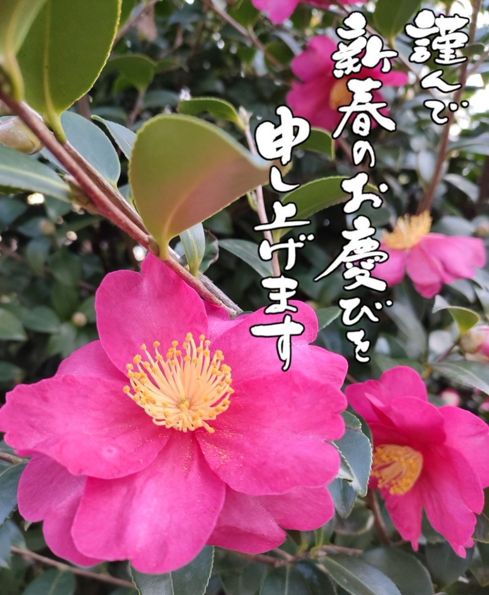 entosen's tweet photo. 明けましておめでとうございます！
昨年中は大変お世話になりました。
今年もよろしくお願いいたします！ https://t.co/ranyGBDKMR