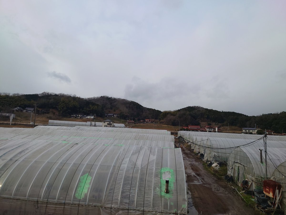 ginchan_0403's tweet photo. 明けましておめでとうございます😊
今年もよろしくお願いします🙇新春ハウス補修です💪 https://t.co/xP4mD2T7zm