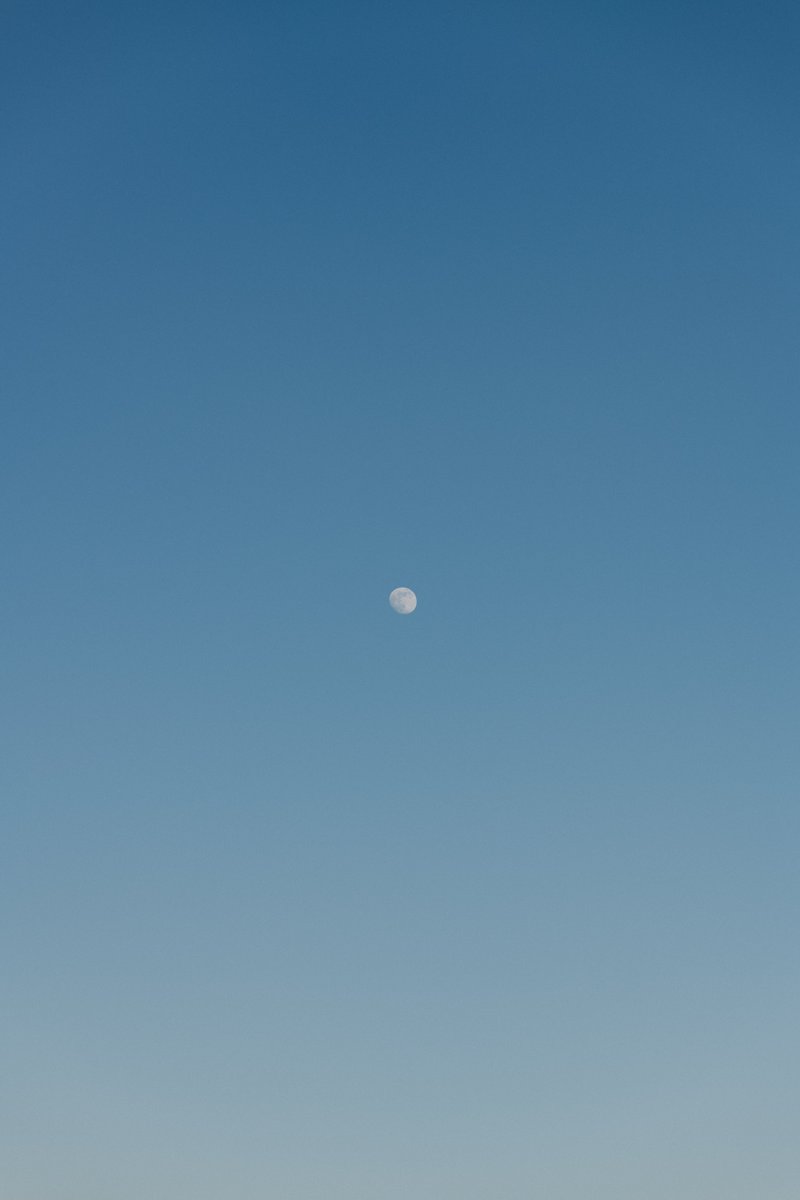 akimoto_0109's tweet image. in the life.