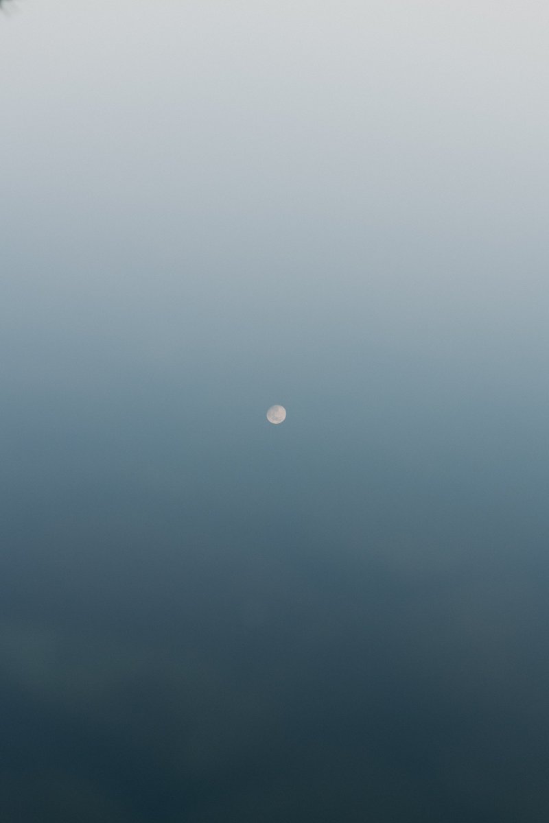 akimoto_0109's tweet image. in the life.