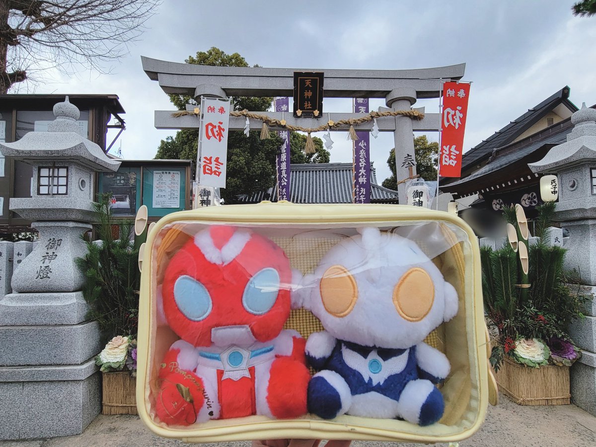 Sayaty(さやてぃ) (@Sayaty2) / Posts / X